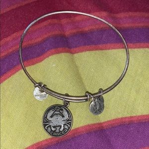 Silver Cancer Alex and Ani